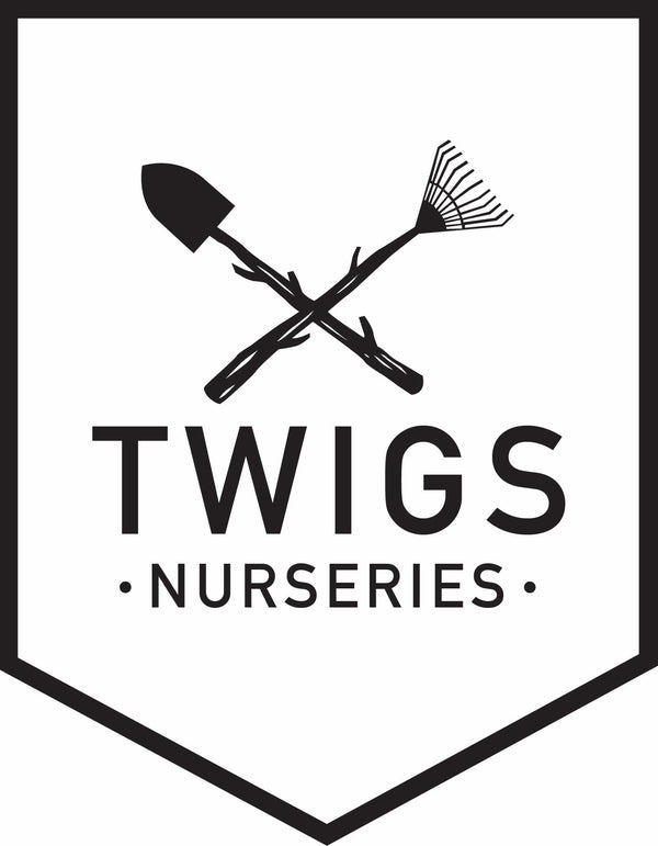 Twigs Nurseries