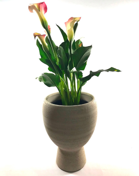 Pot Stoneware Yang