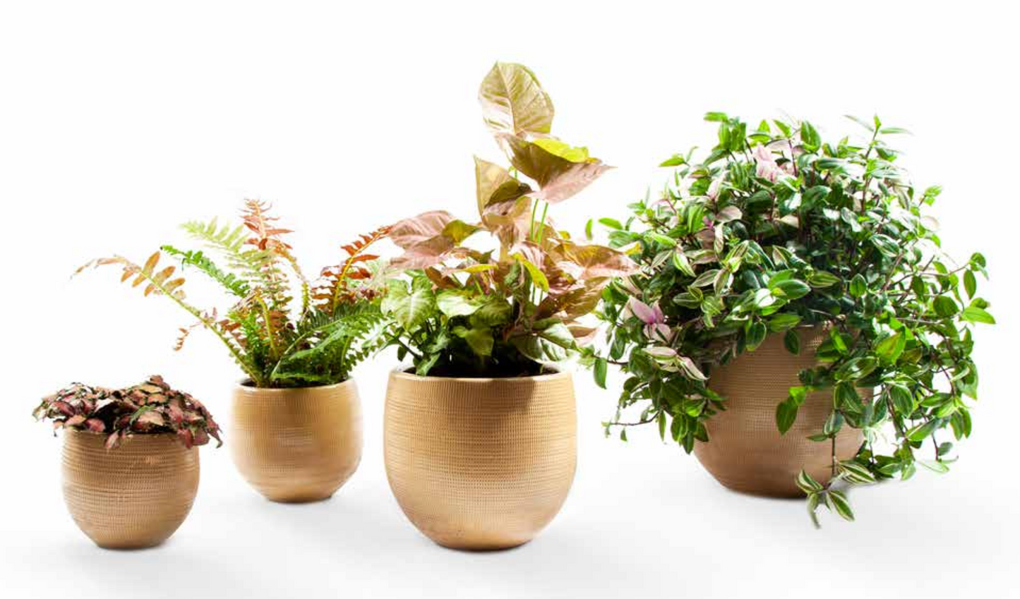 Pot Ceramic Mesh