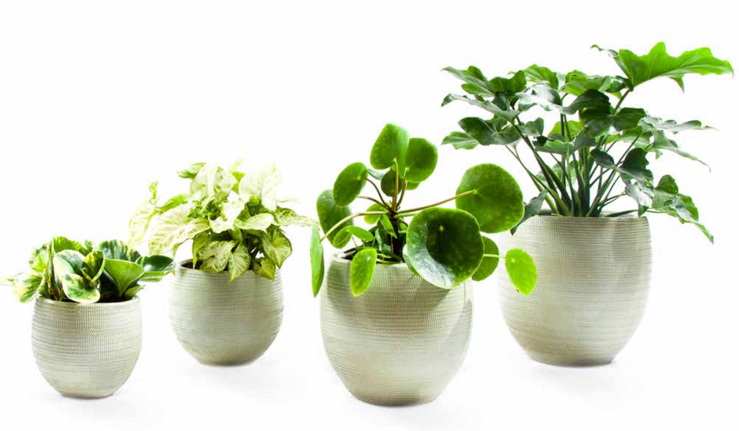Pot Ceramic Mesh