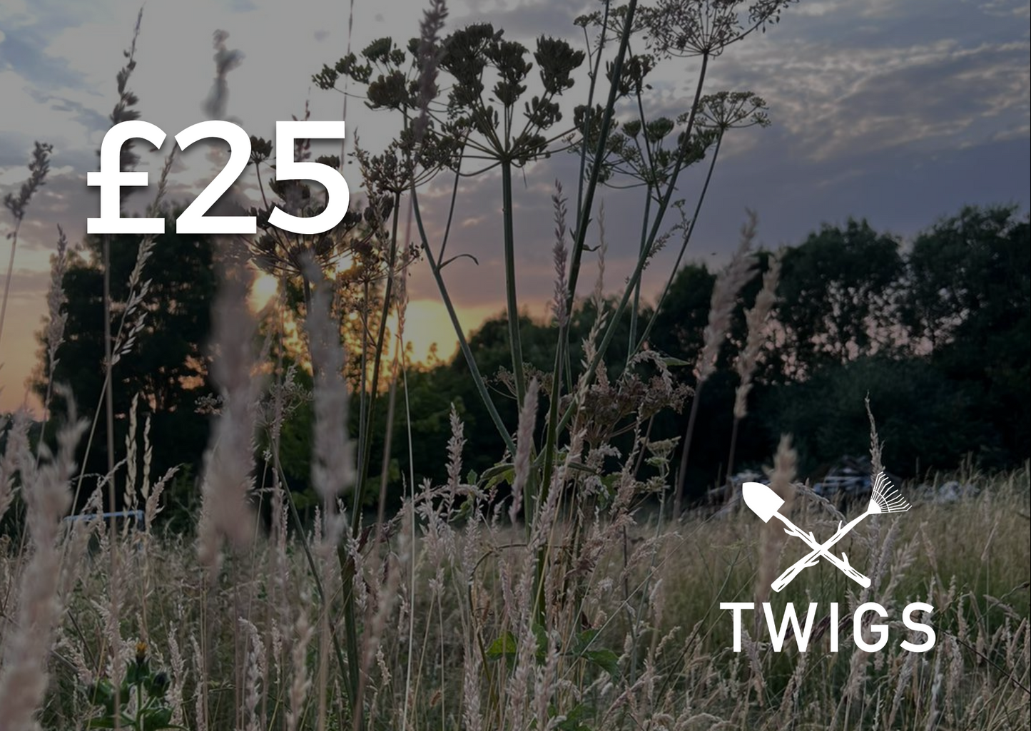 Twigs Nurseries Gift Card
