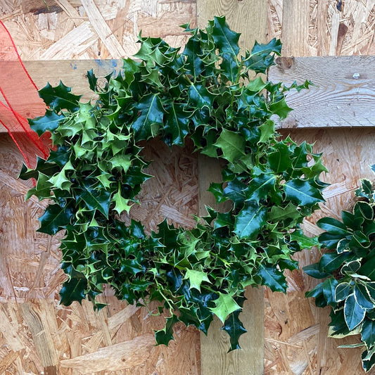 Green Holly Christmas wreath
