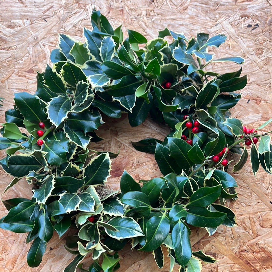 Holly Christmas wreath