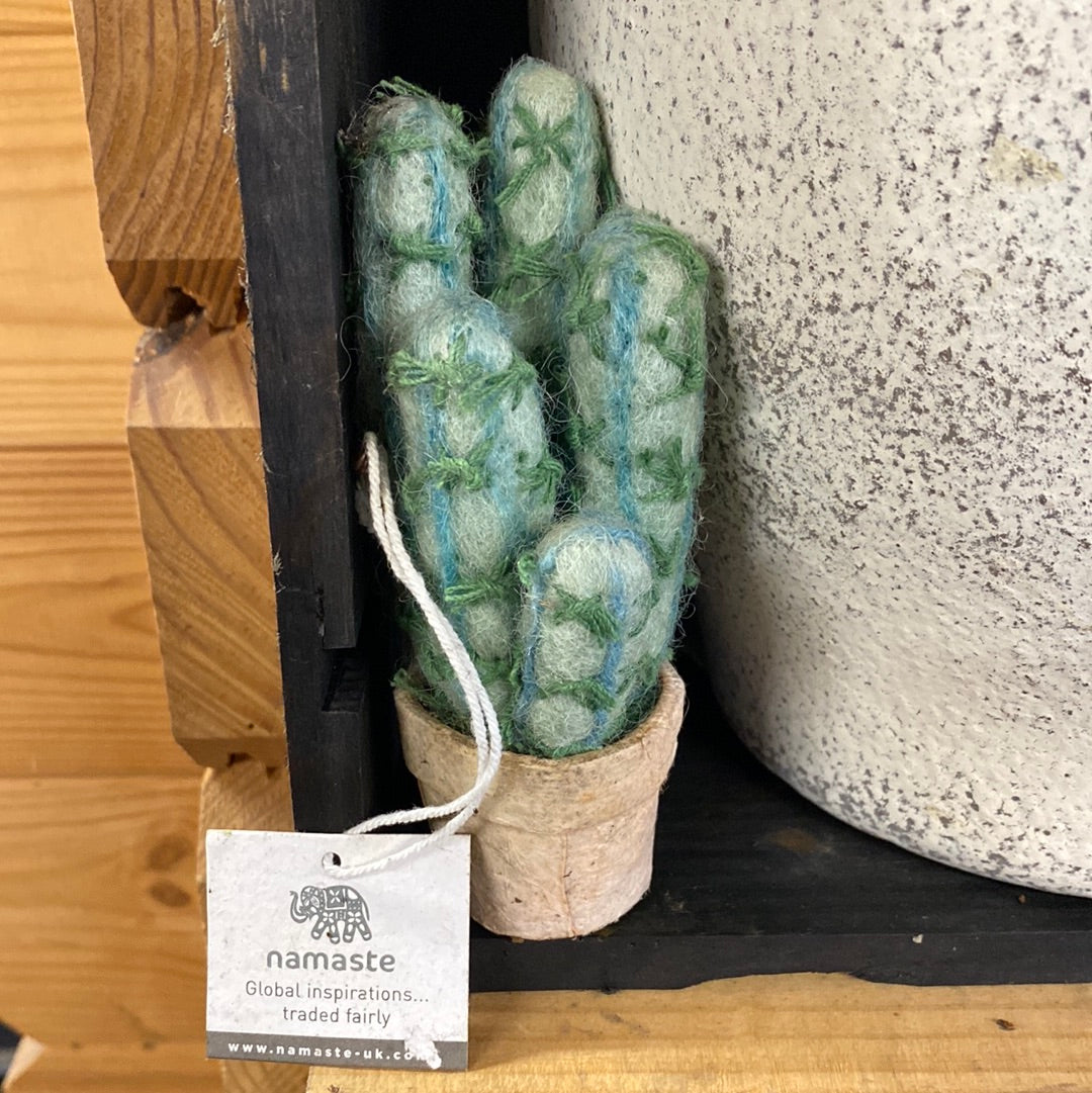 Felt cactus in pot