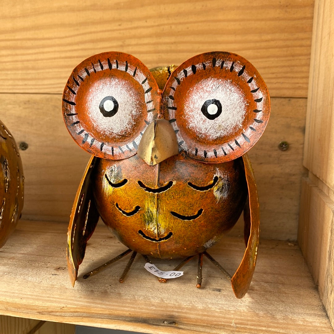 -Owl Lantern - brown large