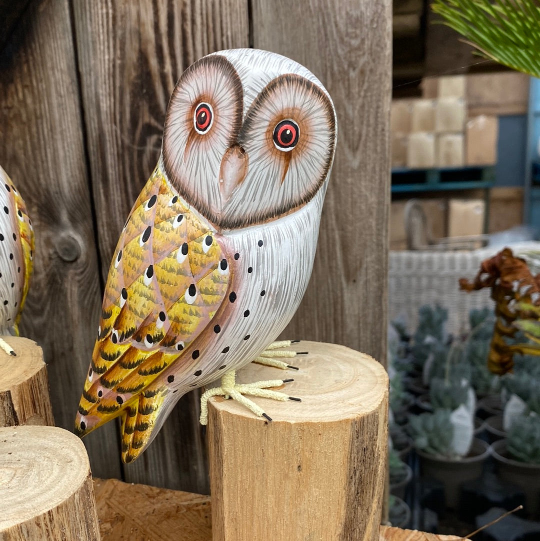 -Wood owl - large